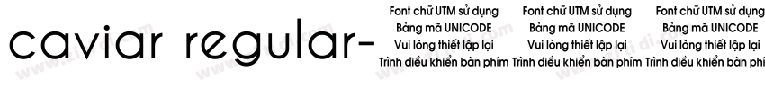 caviar regular字体转换